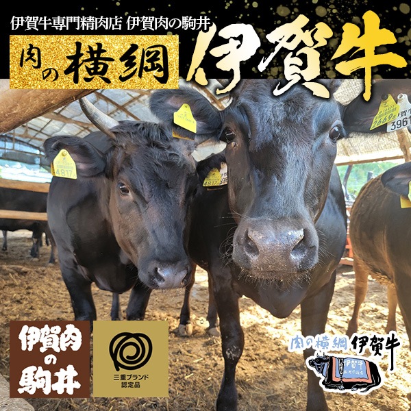 肉の横綱！幻のブランド黒毛和牛『伊賀牛ロースすき焼き用』　美しい霜降りながら脂は軽やか、上質なお肉の旨さを感じてください！