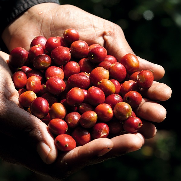 世界のお土産】（送料はまとめ買いがお得！） ドイツ 土産 ダルマ