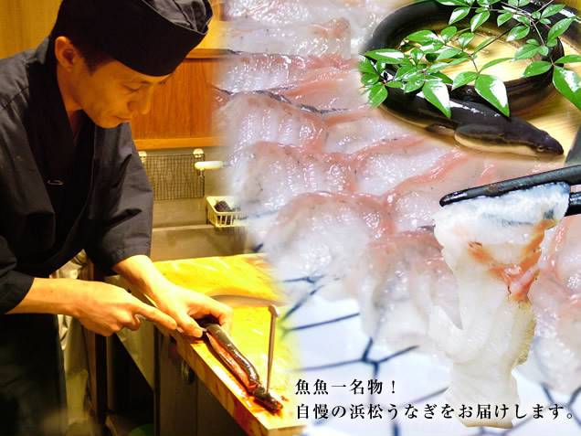 【ふじのくに新商品 セレクション】【送料込】うなぎの刺身 当店「魚魚一」限定 