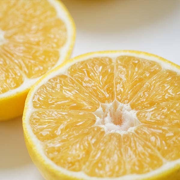 【送料込】愛媛県愛南町の農園より直送！「木成り栽培」にこだわった 河内晩柑中玉4kg(11～15個)