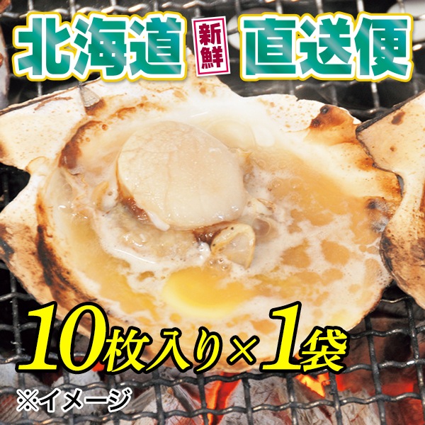【北海道新鮮直送便】（送料はまとめ買いがお得！）貝付き浜ほたて（片貝付1袋10枚入×1袋）