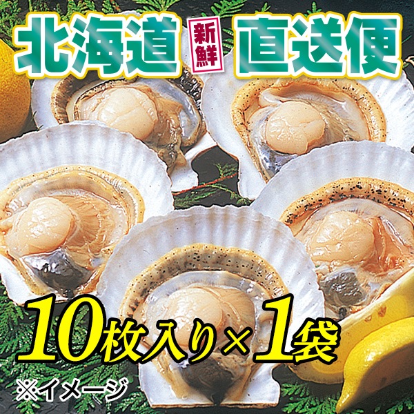 【北海道新鮮直送便】（送料はまとめ買いがお得！）貝付き浜ほたて（片貝付1袋10枚入×1袋）