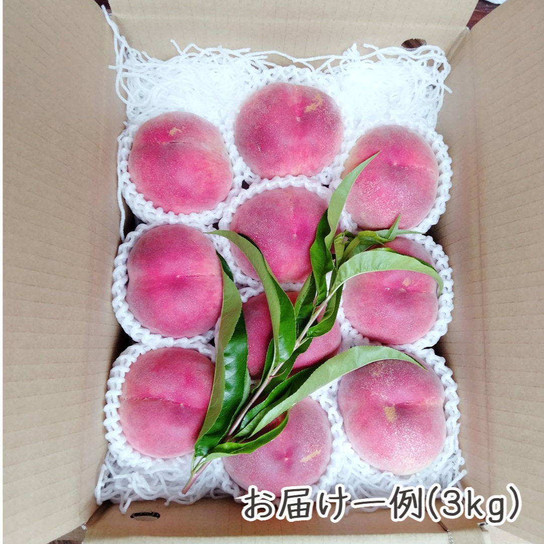 【送料込】朝採り農園直送！山梨県産・燃実農園（もえみのうえん）の桃　2kg/3kg 南アルプスの麓からお届け 2024年