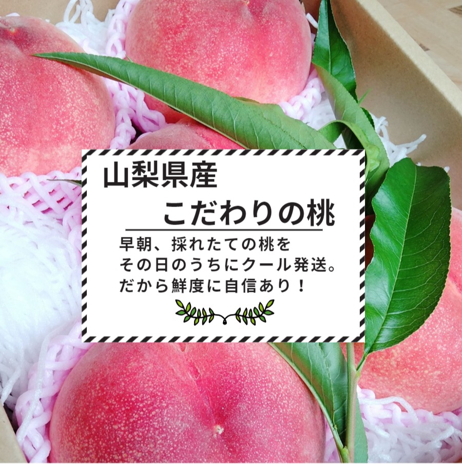 【送料込】クール直送！山梨県「燃実農園」の朝採り桃 - 2kg/3kg ギフトにも最適！お得な訳あり桃もご用意！