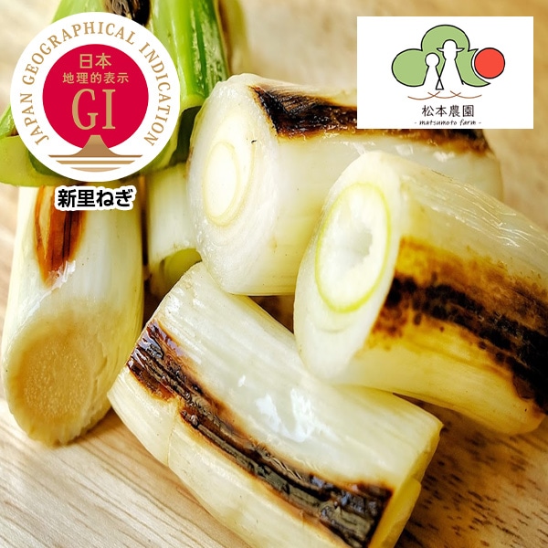 ねぎ　 予約販売）【信頼のGIマーク】地元でしか出回らない！「幻のねぎ」江戸