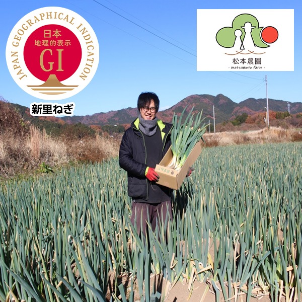 予約販売）【信頼のGIマーク】地元でしか出回らない！「幻のねぎ」江戸