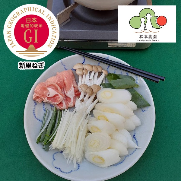 予約販売）【信頼のGIマーク】地元でしか出回らない！「幻のねぎ」江戸