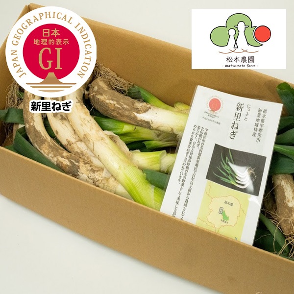 予約販売）【信頼のGIマーク】地元でしか出回らない！「幻のねぎ」江戸