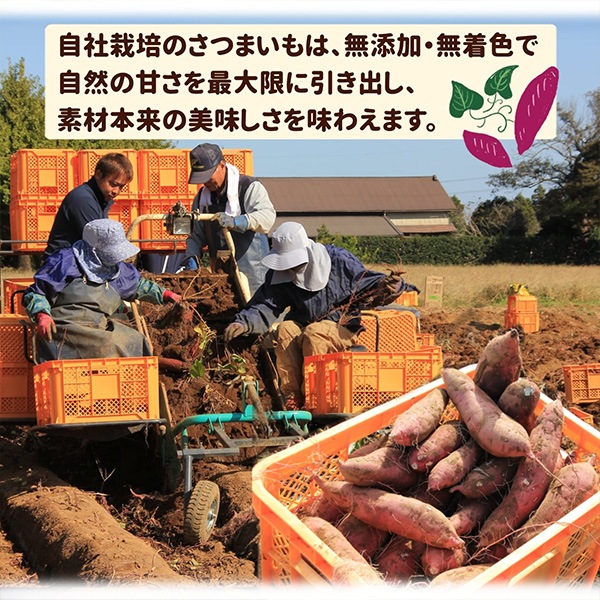 「干し芋おすすめアソートセット」干し芋生産量ダントツ1位の茨城県産　「紅はるか」使用！ （4種類のパックが入って計420ｇ）