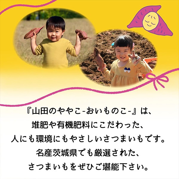 「干し芋おすすめアソートセット」干し芋生産量ダントツ1位の茨城県産　「紅はるか」使用！ （4種類のパックが入って計420ｇ）