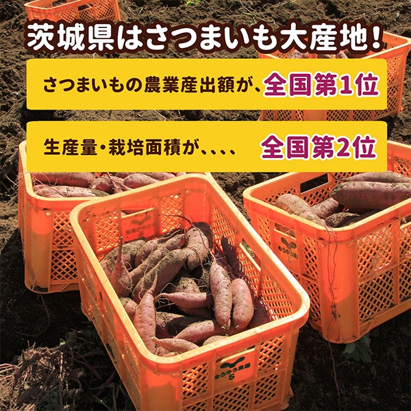 「紅はるか」使用！「干し芋」生産量ダントツ1位の茨城県産　「おすすめセット」2種類入って全600ｇ