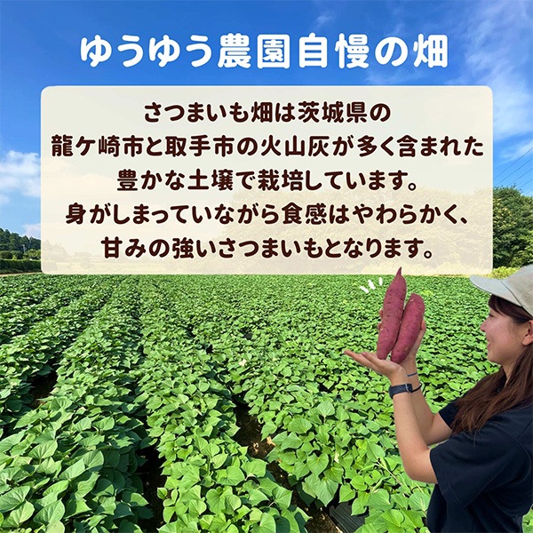 「紅はるか」使用！「干し芋」生産量ダントツ1位の茨城県産　「おすすめセット」2種類入って全600ｇ