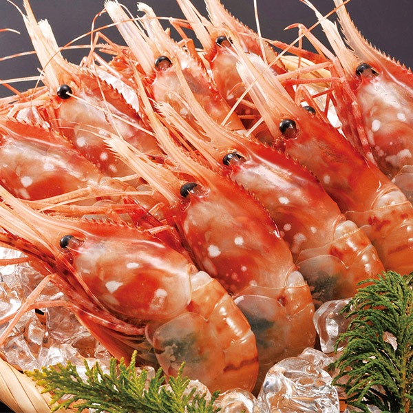 北のお刺身セット(ボタンエビ500g、ホタテ貝柱500g、トロ造りサーモン1本)