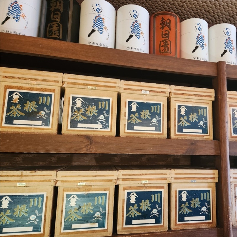 【送料込】静岡県・朝日園の川根茶 新茶一番茶 ギフトセット 缶または袋 ☆令和7年新茶予約販売☆ 【5/16以降出荷】