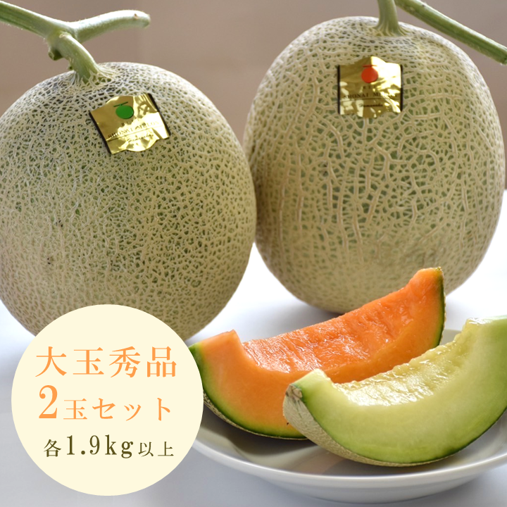 26年産【送料込】 糖度16度前後の庄内砂丘メロン・大玉秀品2玉（赤肉・青肉 約1.9ｋｇｘ2玉／計約3.8kg）　　