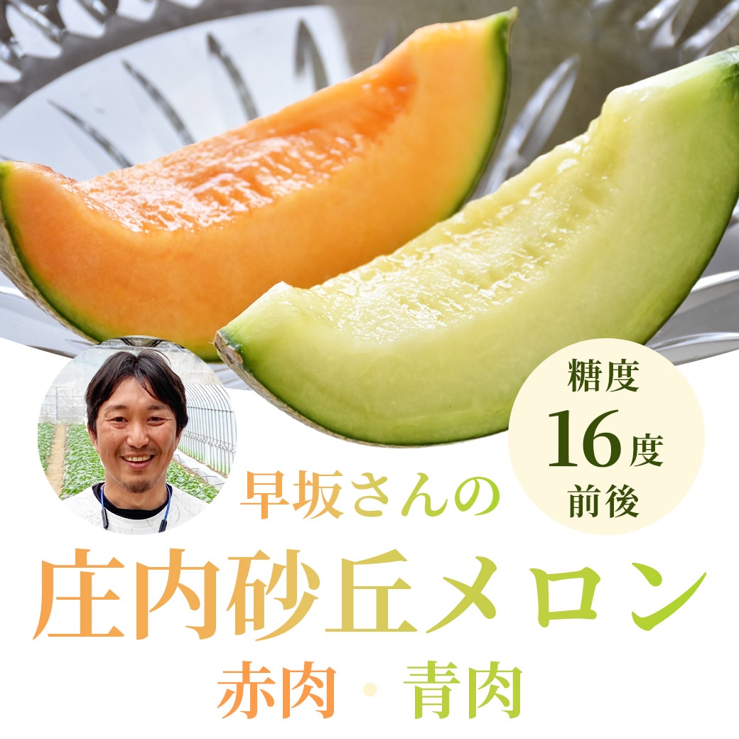 26年産【送料込】 糖度16度前後の庄内砂丘メロン・大玉秀品2玉（赤肉・青肉 約1.9ｋｇｘ2玉／計約3.8kg）　　