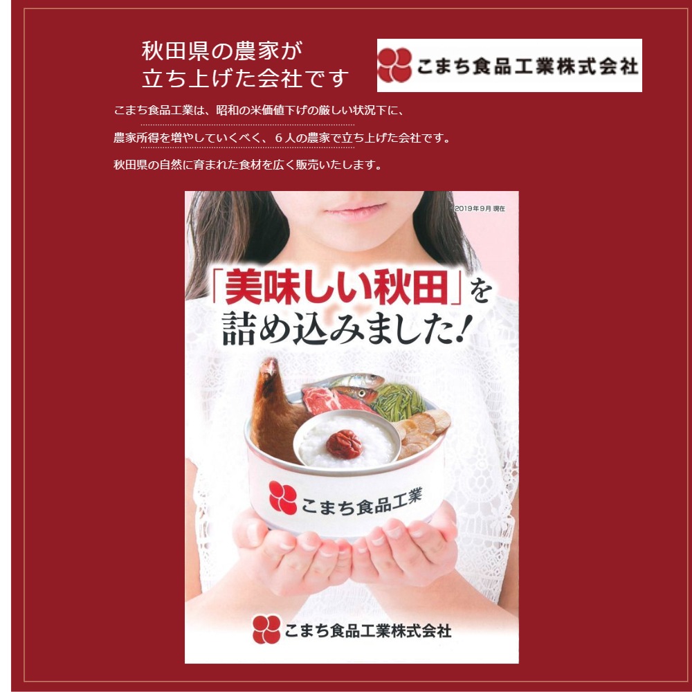 【送料込】こまち食品ビーフシチュー 170g 3袋セット 秋田県産のお肉をじっくり煮込んだ逸品ポスト投函で受け取り楽々＜みちのく秋田県“んめえもの”大集合！＞