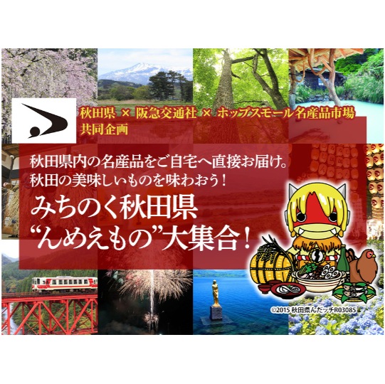 【送料込】こまち食品ビーフシチュー 170g 3袋セット 秋田県産のお肉をじっくり煮込んだ逸品ポスト投函で受け取り楽々＜みちのく秋田県“んめえもの”大集合！＞