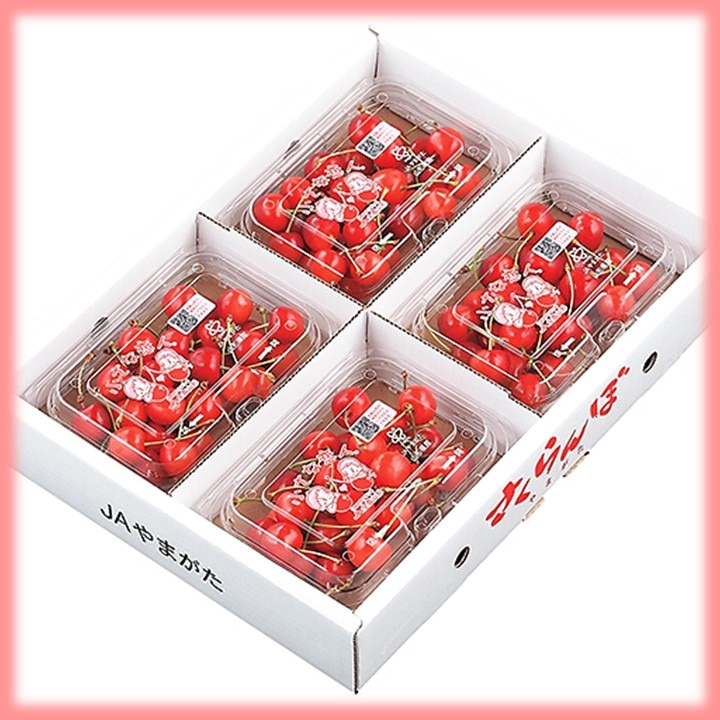 ※さくらんぼさま専用　サイズダウン　レボリューション　美容　波動 さくらんぼさま専用 サイズダウン レボリューション 美容 波動