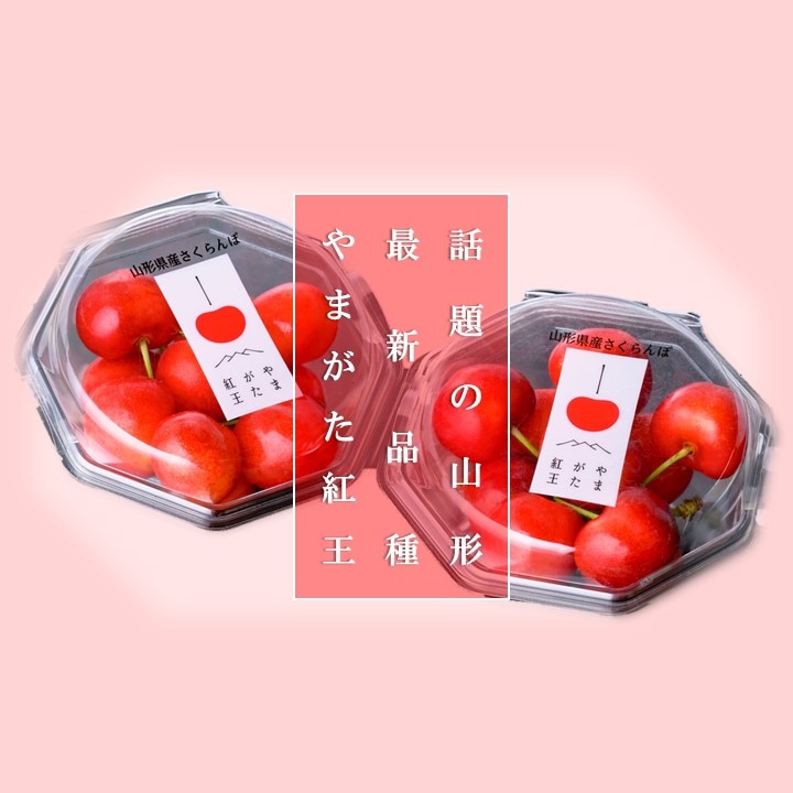 ぽんきんさん専用 CATEGORY 長崎名産ざぼん漬 | 藤田チェリー豆総本店