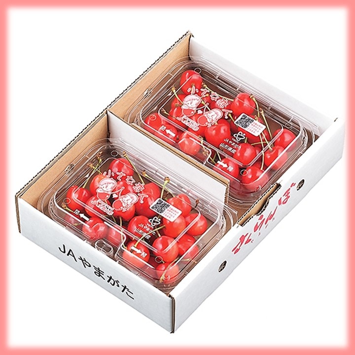 25年産販売終了＞【送料込】さくらんぼ生産量日本一の山形県よりお届け