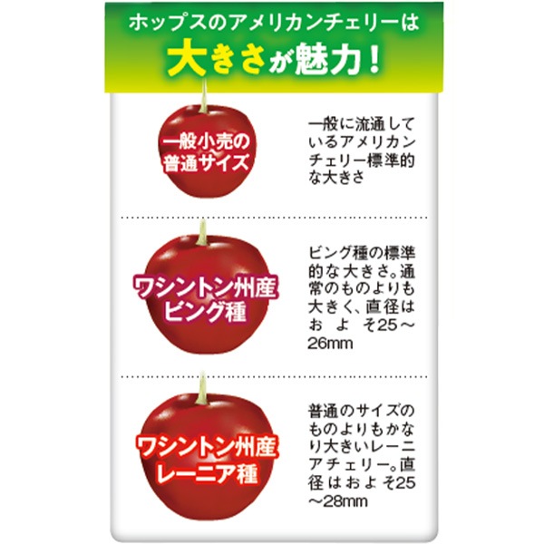 【2026年シーズン到来！完全ご予約制】アメリカンチェリー（ビング種）700ｇ 3,980円/1kg 5,580円/2kg 9,380円