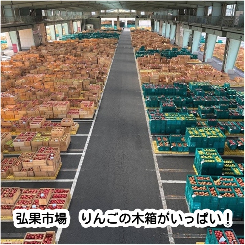 青森県りんご 人気の2品種！詰合せ 「サンふじ・王林」 産地直送！【ご