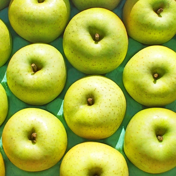 青森県りんご　人気の2品種！詰合せ　「サンふじ・王林」　産地直送！【ご家庭向き：3kg、5kg】　おまとめ買いがお得！（4箱までなら何箱買っても送料一律1,200円！－ただしお届け場所は同一1か所、同一kgの箱に限ります）