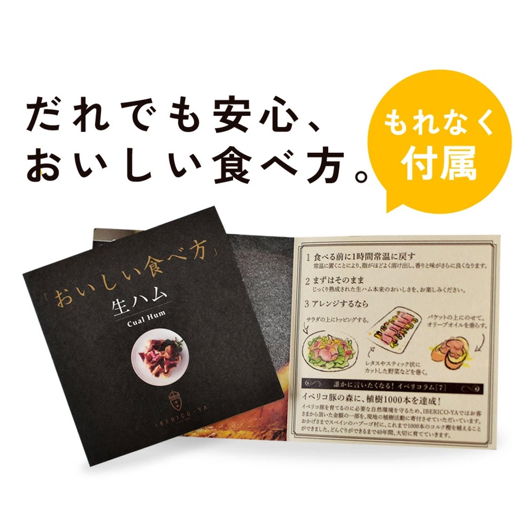 【送料込】本場スペインの最高の味わい!生ハム(ベジョータ・セラーノ2種計100g)セット