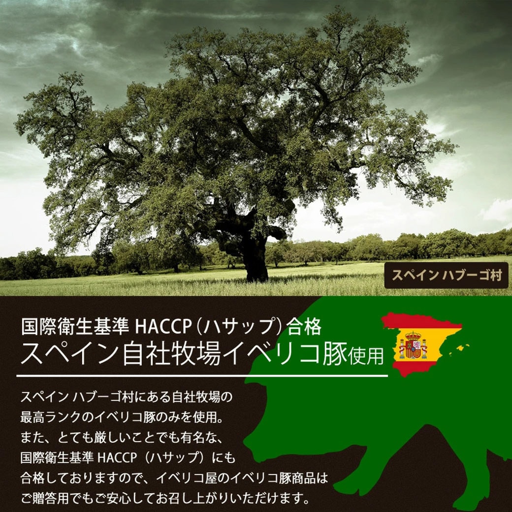【送料込】本場スペインの最高の味わい!生ハム(ベジョータ・セラーノ2種計100g)セット