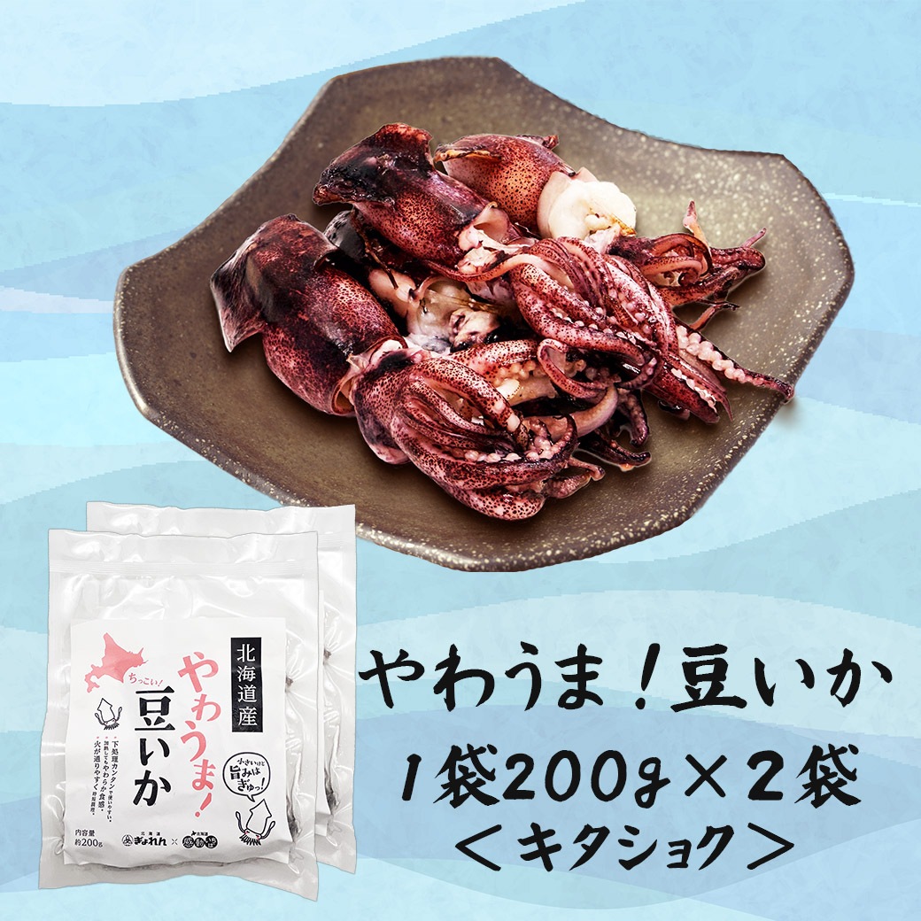 【送料込】北海道『いか三昧セット』お刺身・焼き、煮つけ、塩辛でどうぞ！