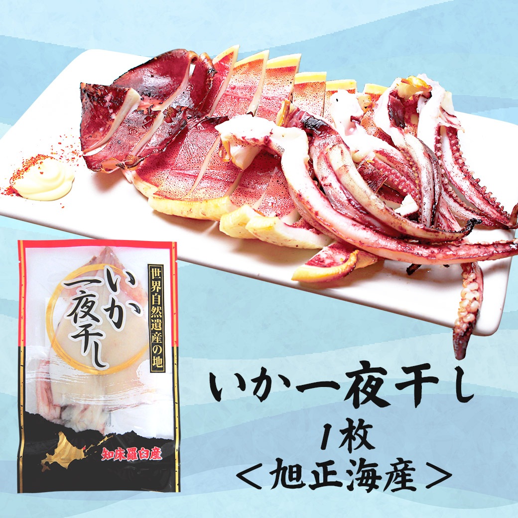 【送料込】北海道『いか三昧セット』お刺身・焼き、煮つけ、塩辛でどうぞ！
