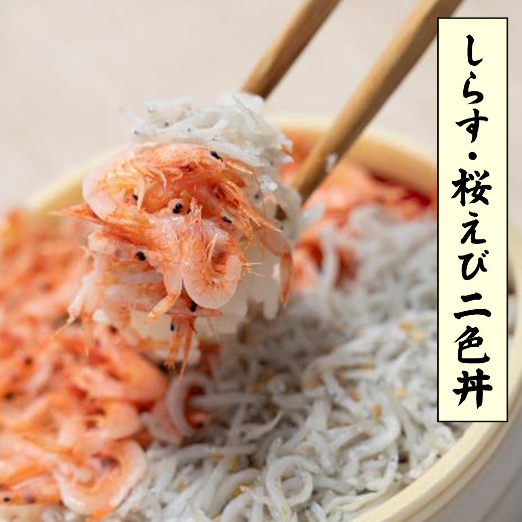 【送料込】『静岡祭り丼4色セット』浜名湖の誇り「でしこ鰻」を使用！（①鰻蒲焼まぶし丼、②鰻白焼まぶし丼、③桜エビとしらすの二色丼、④三ケ日牛丼）