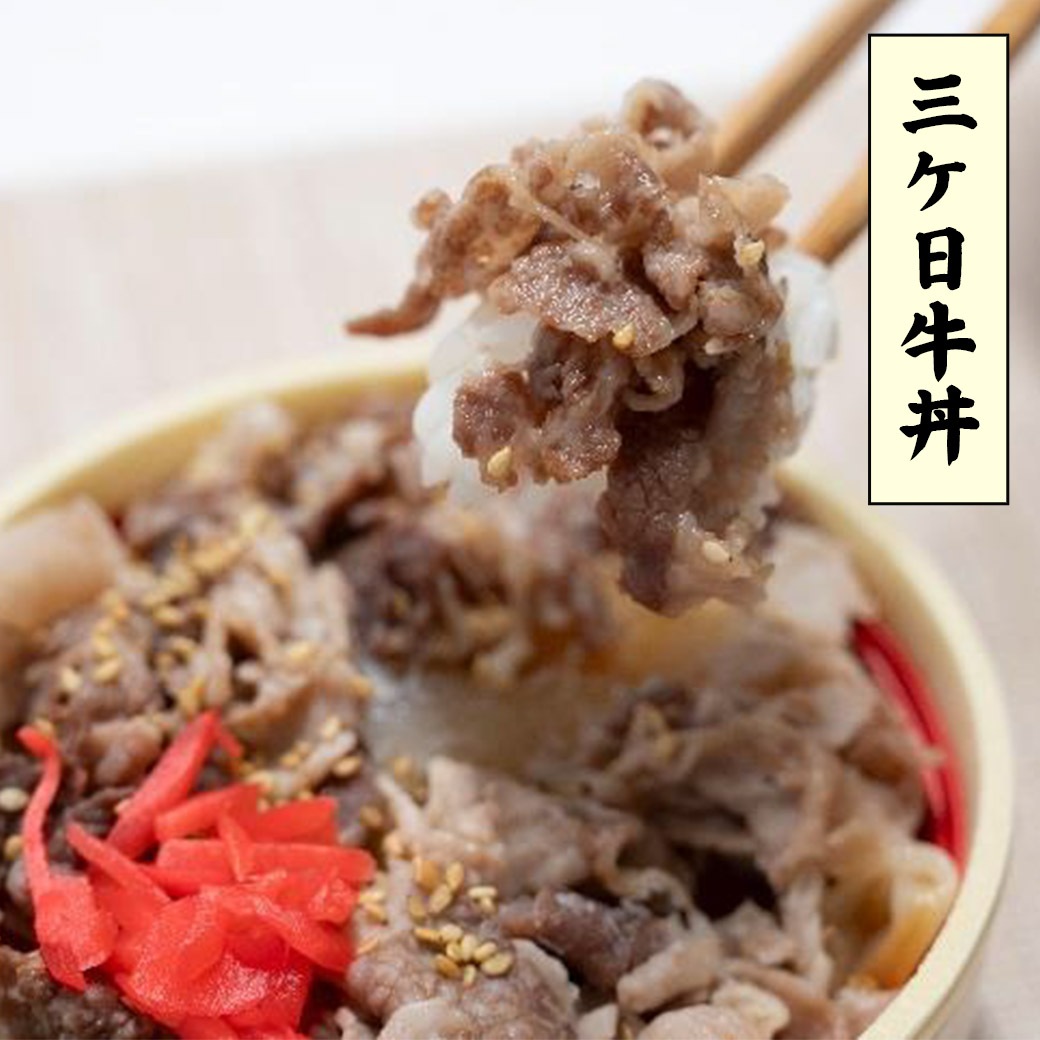 【送料込】『静岡祭り丼4色セット』浜名湖の誇り「でしこ鰻」を使用！（①鰻蒲焼まぶし丼、②鰻白焼まぶし丼、③桜エビとしらすの二色丼、④三ケ日牛丼）