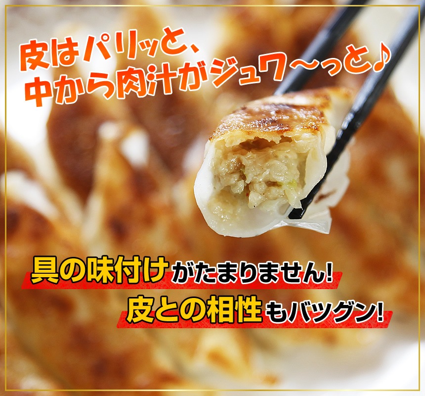 【送料込】人気チャーハン4種6食＆肉餃子50個！大阪王将「裏ミラクルセット」