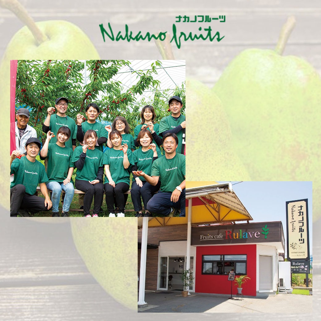 【送料込】なめらかで上品な甘み！果物の女王「旬のラ・フランス」①特選・大玉6玉／2kg　②訳あり・ご家庭向きたっぷり4.5kg　日本一の産地山形から直送！