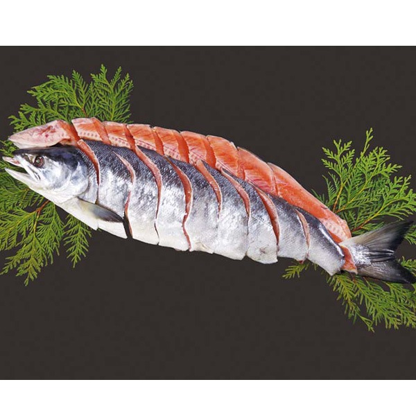 【送料込・お歳暮】北海道産 新巻鮭姿　1.4kg（約1.4kg（6分割包装）（北海道にて加工））