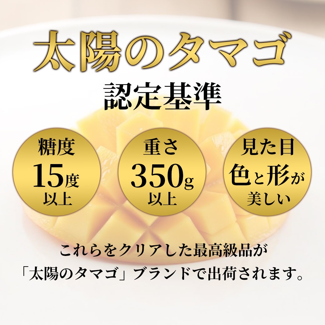 【送料込】とろける食感と濃厚な甘み！本場宮崎県産 完熟マンゴー「太陽のタマゴ」2Lサイズ 3玉セット