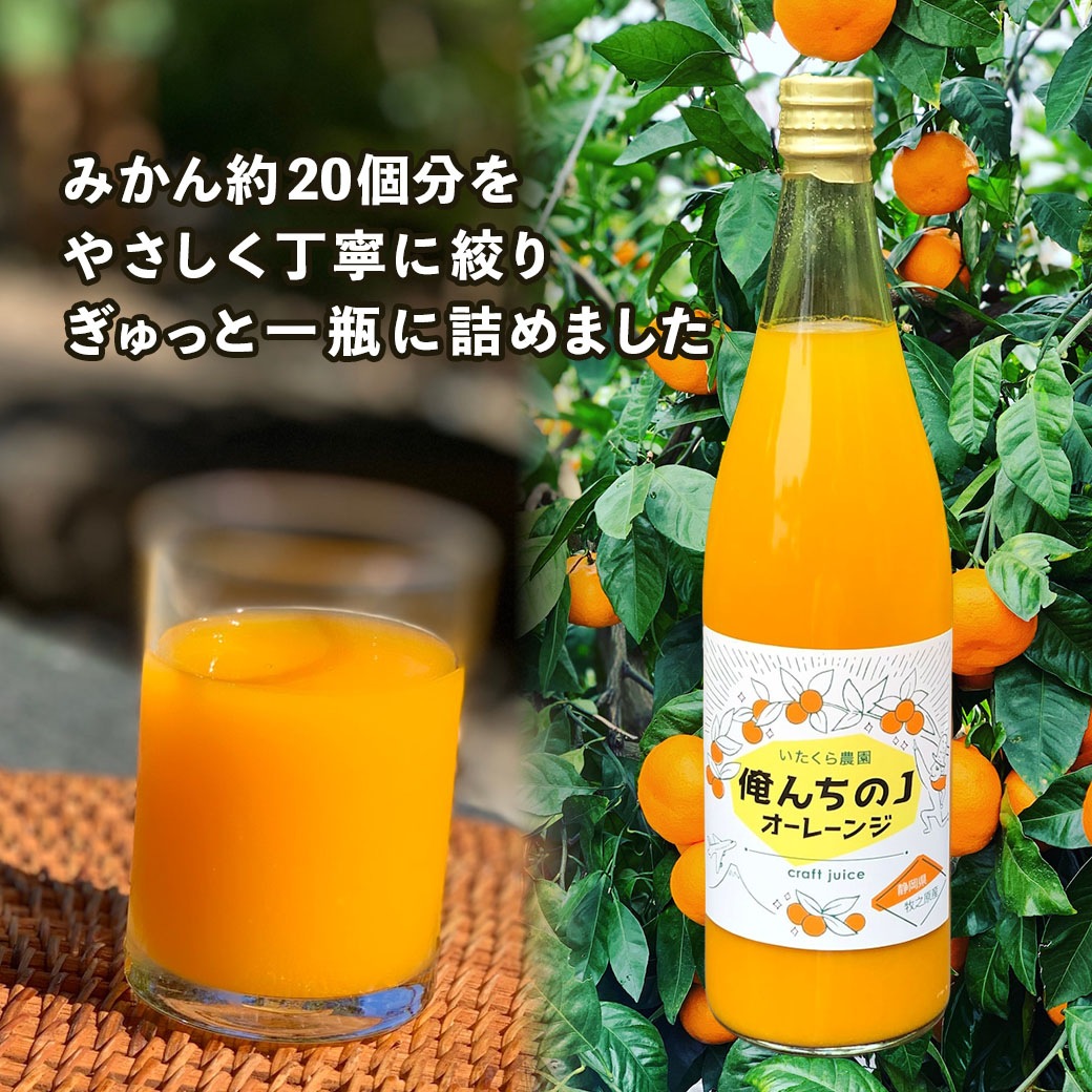 いたくら農園　俺んちのJ　（オーレーンジJ ）オレンジジュース2本セット