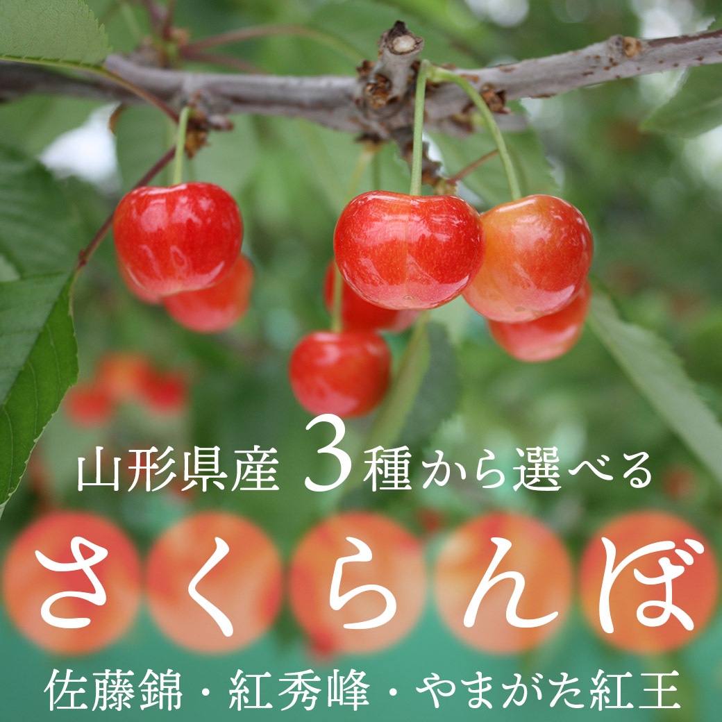 【佐藤万浬】3点おまとめ 佐藤 竹善 (@chikuzen_sato) • Threads, Say more