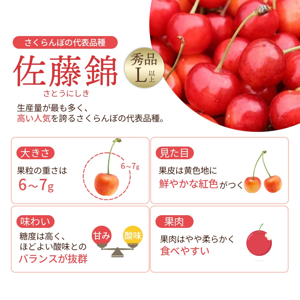【送料込】人気のさくらんぼブランドを3種から選べる!『佐藤錦』・『紅秀峰』・『やまがた紅王』