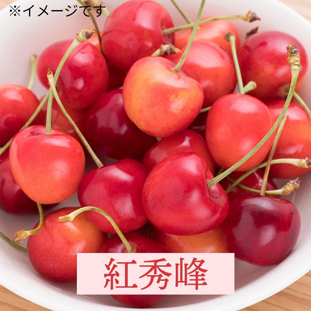 【送料込】人気のさくらんぼブランドを3種から選べる!『佐藤錦』・『紅秀峰』・『やまがた紅王』