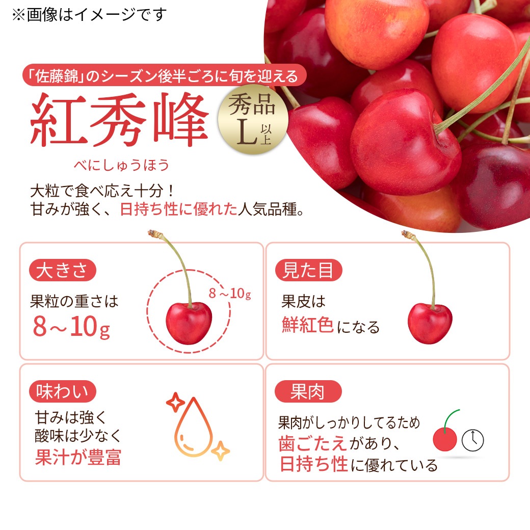 【送料込】人気のさくらんぼブランドを3種から選べる!『佐藤錦』・『紅秀峰』・『やまがた紅王』