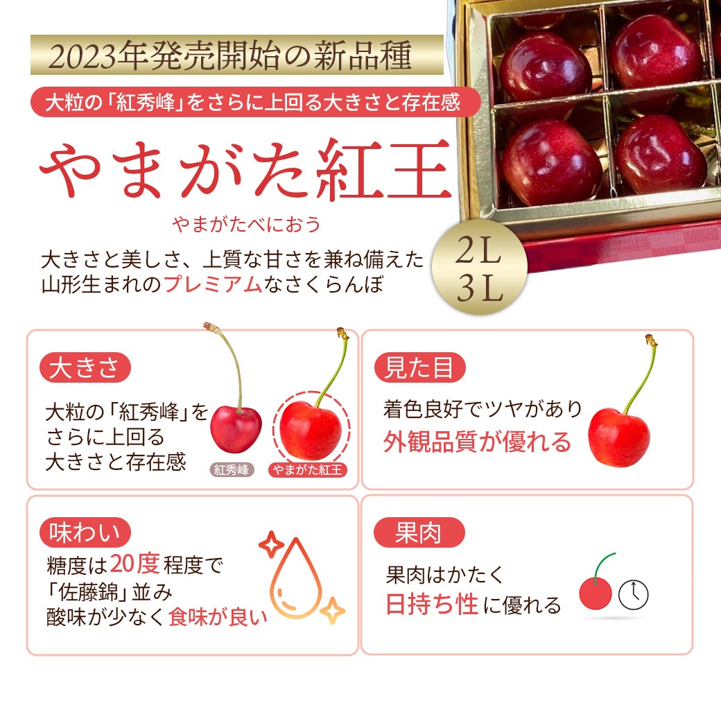【送料込】人気のさくらんぼブランドを3種から選べる!『佐藤錦』・『紅秀峰』・『やまがた紅王』