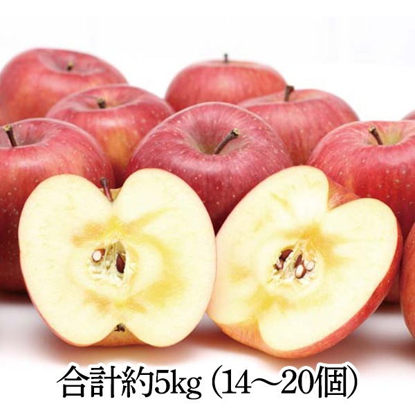 【送料込・お歳暮】奥山農園 山形県産 サンふじりんご（合計約5kg、14～20個）