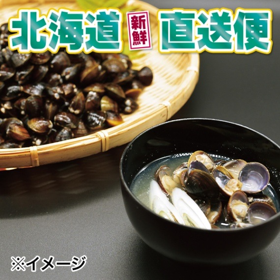 【北海道新鮮直送便】（送料はまとめ買いがお得！）網走湖産砂出ししじみ（500g×4袋）