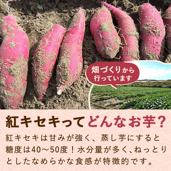 【しずおか食セレクション頂（いただき）】おいもやの二代目干し芋5袋セット　 お粉タイプ
