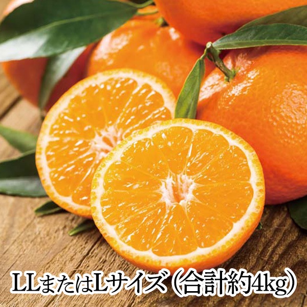 【送料込・お歳暮】和歌山県産 有田みかん　4kg（LLまたはLサイズ、合計約4kg）