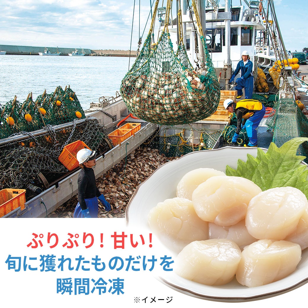 【送料込】北海道 枝幸産『天然ほたて貝柱』150g×3袋セット「おいしい食べ方ガイド」付き！