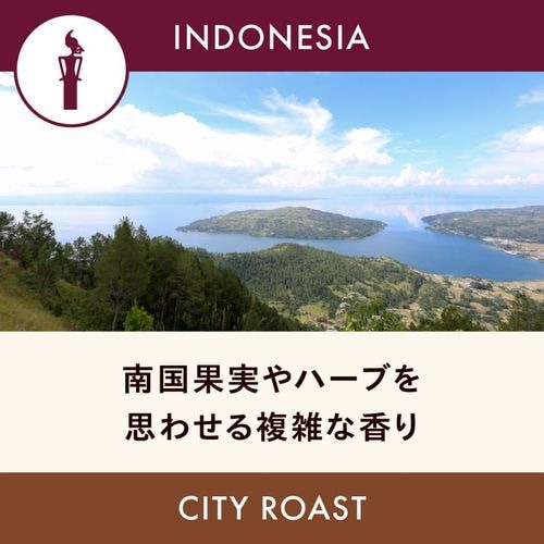 ����ɥͥ��� �֥ޥ�ǥ�� 